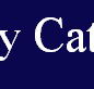 McCarthy Catholic College Tamworth - Melbourne Private Schools