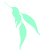Horticultural Training Pty Ltd - Melbourne Private Schools