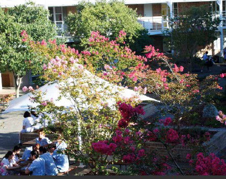 Moriah College - Melbourne Private Schools 1