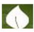 SA COLLEGE OF NATURAL AND TRADITIONAL MEDICINE PTY LTD - Melbourne Private Schools