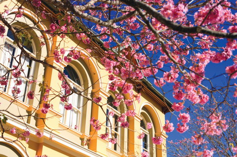 Brisbane Girls Grammar School - Melbourne Private Schools 3