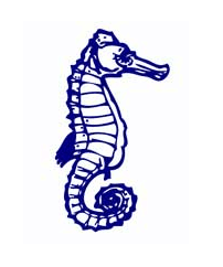 Albert Park Primary School - Melbourne Private Schools