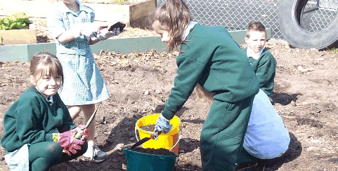 Chalcot Lodge Primary School - Melbourne Private Schools