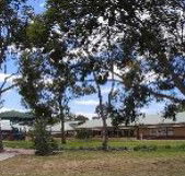 Clayton View Primary School - Melbourne Private Schools