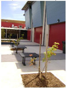 Wellington Secondary College - Melbourne Private Schools 1