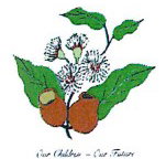 Marri Grove Primary School - Melbourne Private Schools