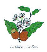 Marri Grove Primary School - Melbourne Private Schools 0