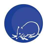 Mylor Primary School