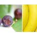 Beck Health  Nutrition - Melbourne Private Schools