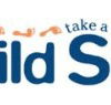 Child Side School - Melbourne Private Schools