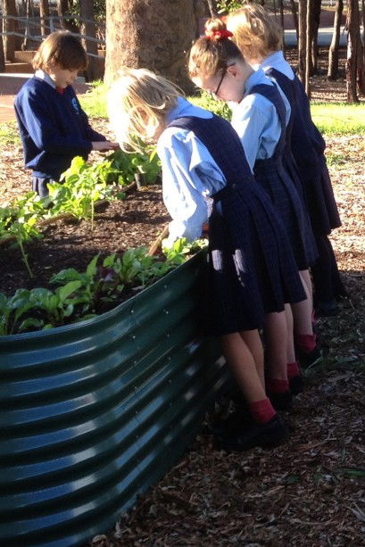 Good Shepherd Catholic Primary School Kelmscott - Melbourne Private Schools 3