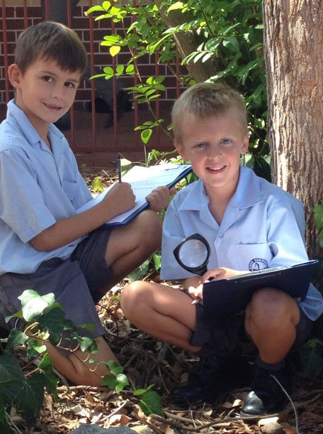Good Shepherd Catholic Primary School Kelmscott - Melbourne Private Schools 4
