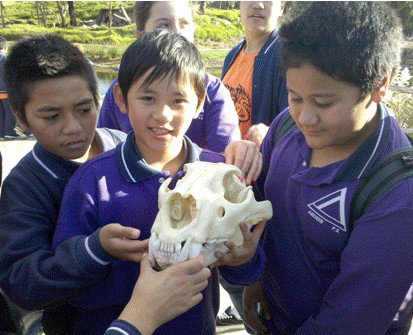 Ardeer Primary School - Melbourne Private Schools 4