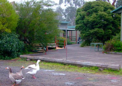 Village School Inc - Melbourne Private Schools 1