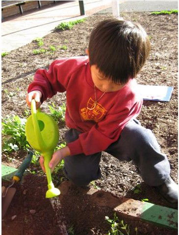 Christ The King Primary School Braybrook - Melbourne Private Schools 2
