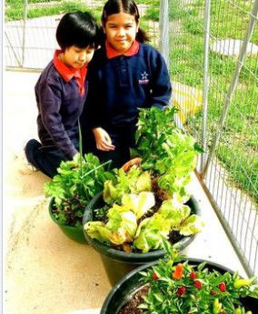 Stella Maris - Melbourne Private Schools 3