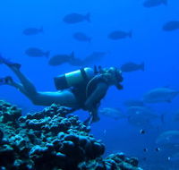 Aquatic Adventures Courses - Melbourne Private Schools