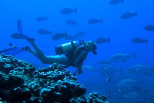 Aquatic Adventures Courses - Melbourne Private Schools 0