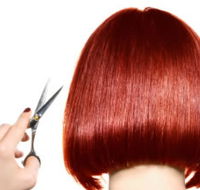 The Angel Hair  Beauty Institute- Hair  Beauty School Ballarat - Melbourne Private Schools