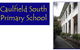 Caulfield South Primary School - thumb 0