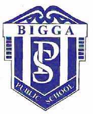 Bigga Public School - Melbourne Private Schools 0