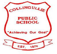 Collingullie Public School - Melbourne Private Schools