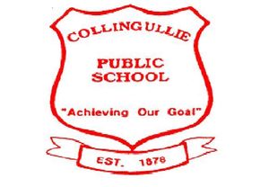 Collingullie Public School - Melbourne Private Schools 0