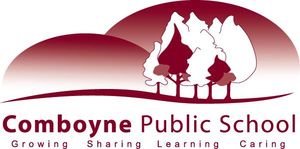 Comboyne Public School - Melbourne Private Schools 0