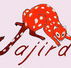 Jajirdi Consultants - Melbourne Private Schools