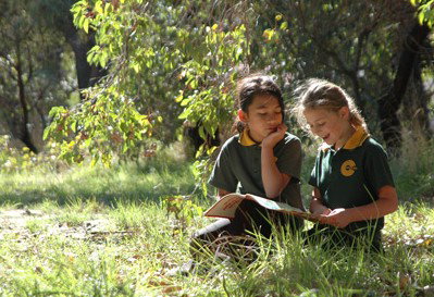 Hilton Primary School - Melbourne Private Schools 1