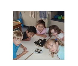 Blue Gum Montessori School - Melbourne Private Schools 1