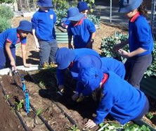 Beckenham Primary School - Melbourne Private Schools 1