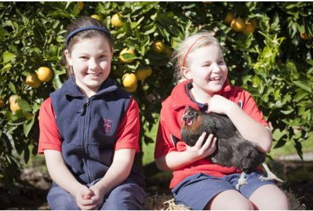 Northholm Grammar School - Melbourne Private Schools 2