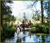 Bellrowan Valley Horse Riding - Melbourne Private Schools 2