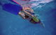 Jump! Swim School Mackay - thumb 9