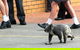 St Philip's Christian College - thumb 3