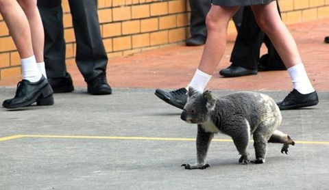 St Philip's Christian College - Melbourne Private Schools 3