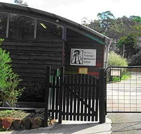 Treetops Montessori Primary School - Melbourne Private Schools