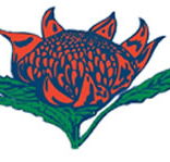Hurstville South Public School - Melbourne Private Schools