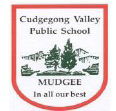 Cudgegong Valley Public School - Melbourne Private Schools