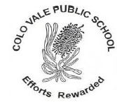 Colo Vale Public School - Melbourne Private Schools