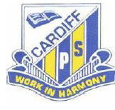Cardiff Public School - Melbourne Private Schools