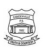 Camdenville Public School - Melbourne Private Schools 0