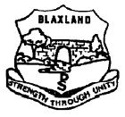 Blaxland Public School - Melbourne Private Schools 0