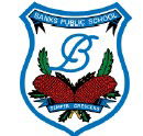 Banks Public School - Melbourne Private Schools