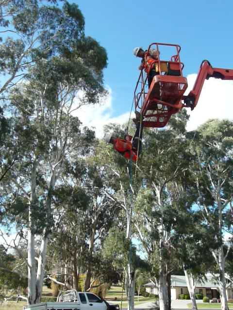 Integral Skills - Melbourne Private Schools 2