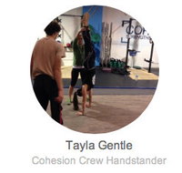 Cohesion Gym - Melbourne Private Schools