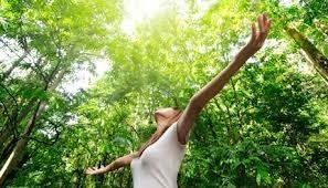 STARS Institute Of Learning And Leadership - Melbourne Private Schools 0