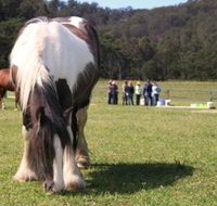 Unbridled Results - Melbourne Private Schools