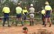 Steve Smith Chainsaw Training - thumb 2